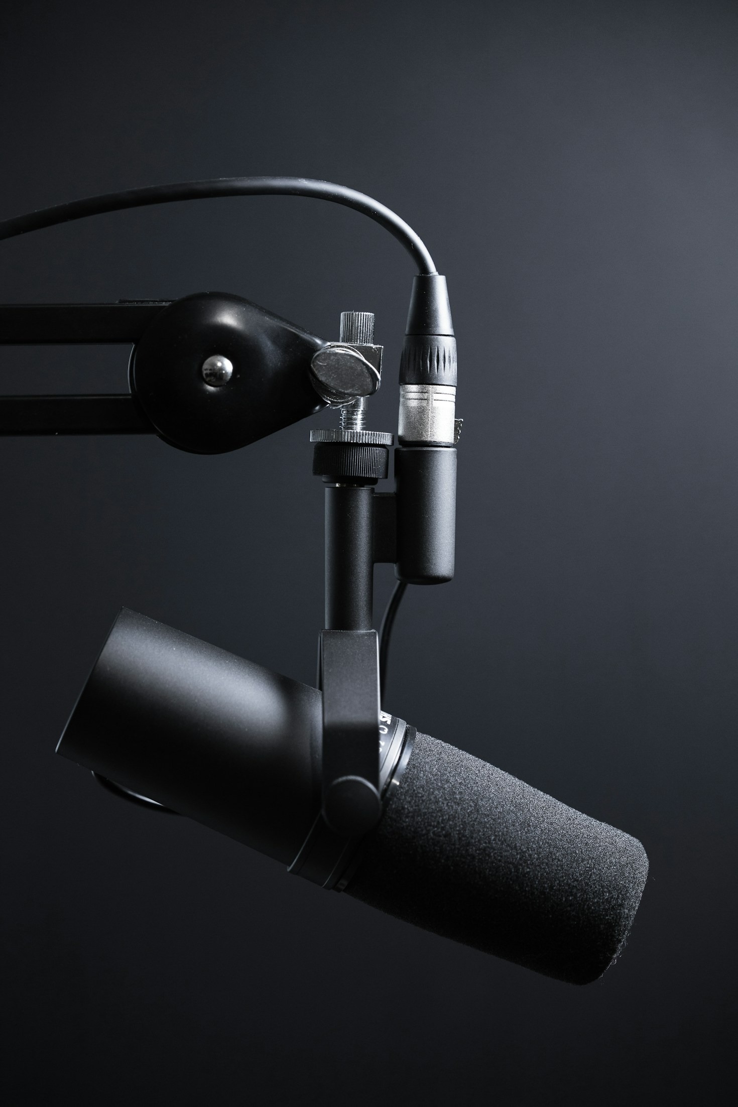 Exploring the World Through Podcasts